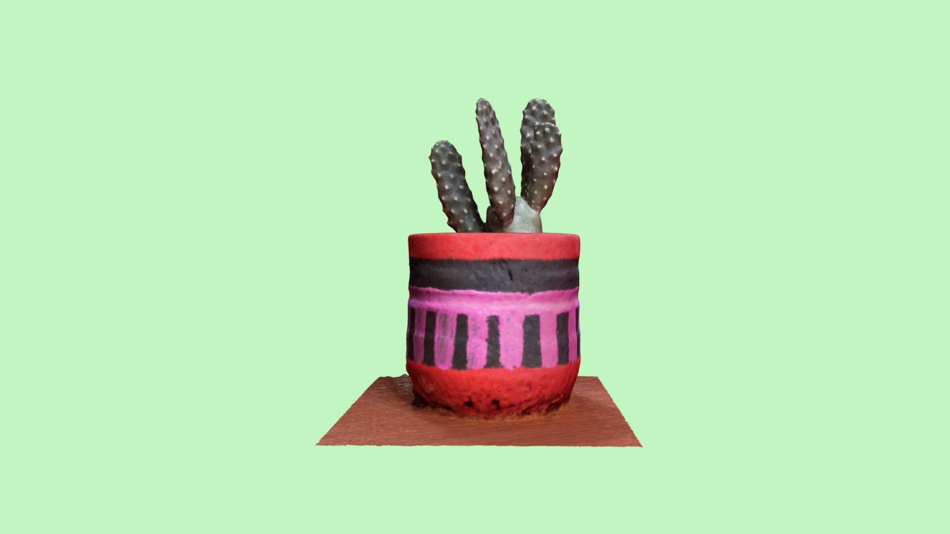 Little Cactus | Photogrammetry
