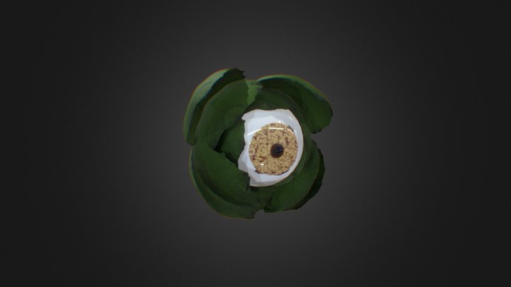 EyeballFlower 3D Model