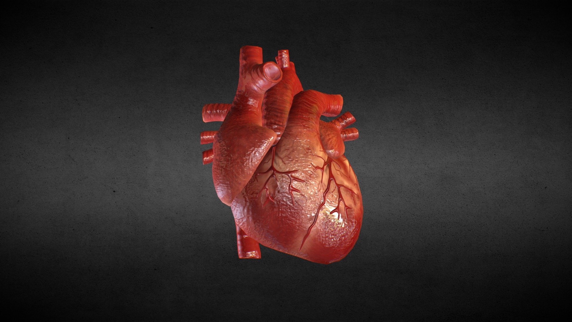 3d animated human heart on Make a GIF