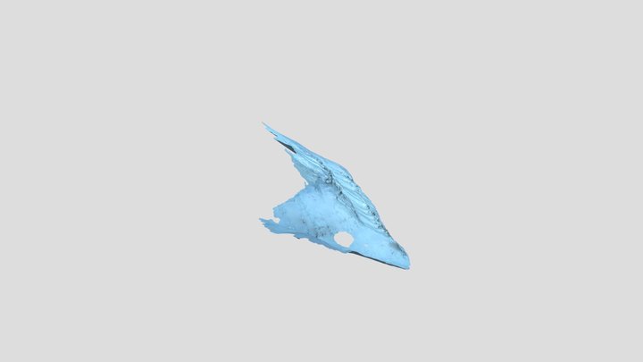Todalen 3D Model