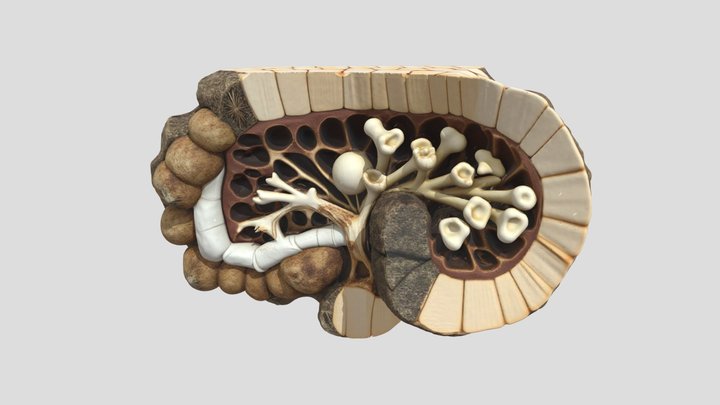 0 (1) – Free 3D Model STL