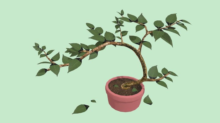 Potted Plant: CGT116 Week 08 3D Model