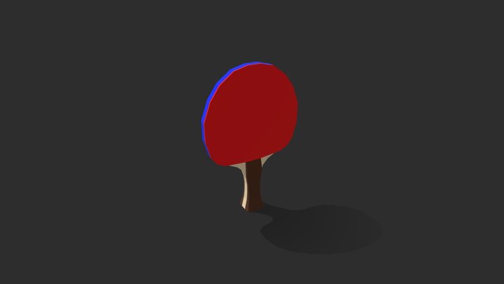 Ping Pong Paddle