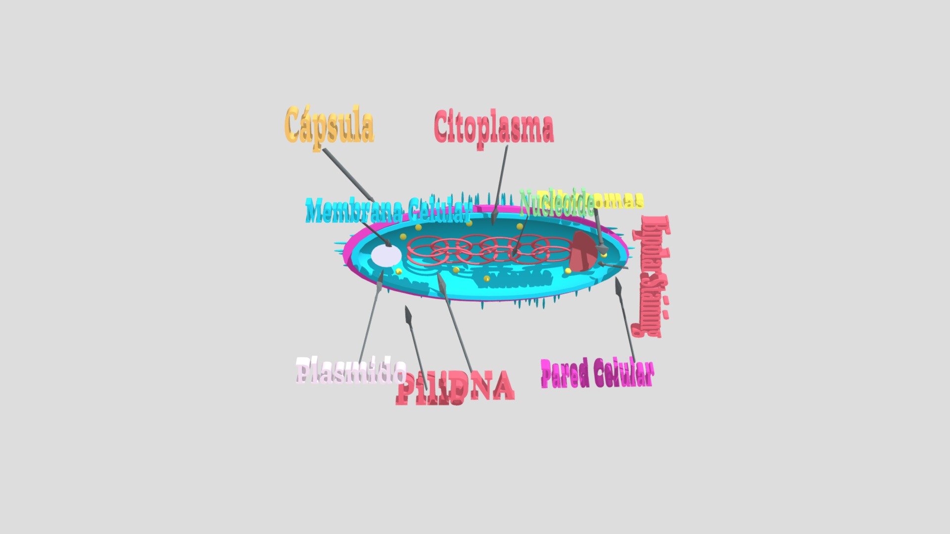 microughs_pasteurellamultocida_vcb_gcl_agr_v2
