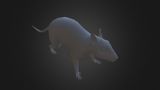 Squirrel 3D Base Model 3D Model