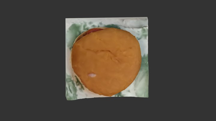 Burger photogrammetry 3D Model