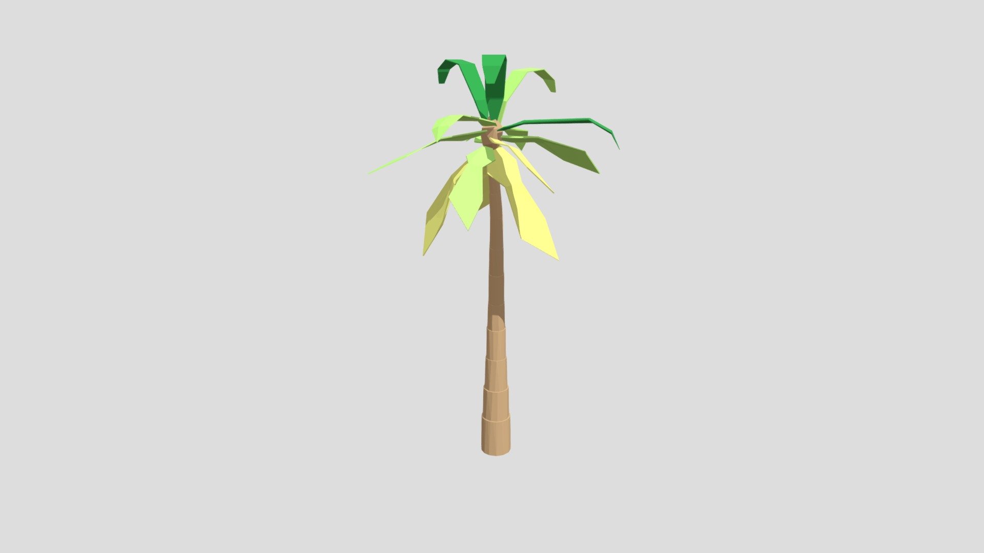 PalmTree