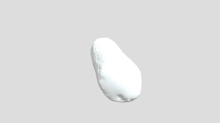 Briquetage 3D Model