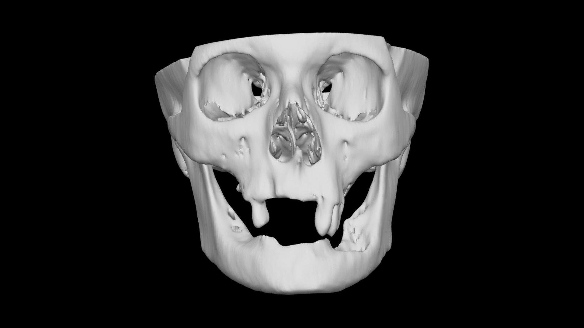 Skull Female 78yo