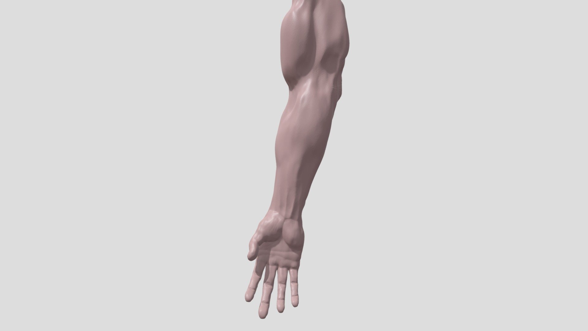 Arm High Poly