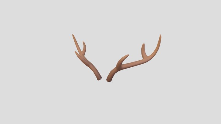 Deer Antler 3D Model