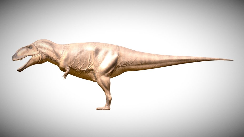 Carcharodontosaurus Saharicus