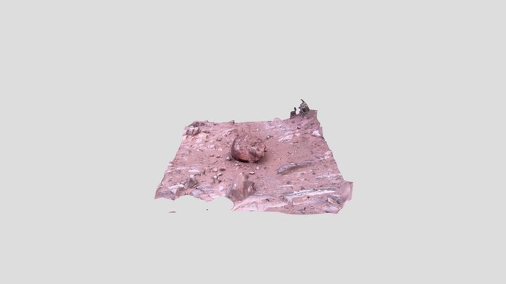 Scan 2023-04-19T04:43:30.285Z 3D Model