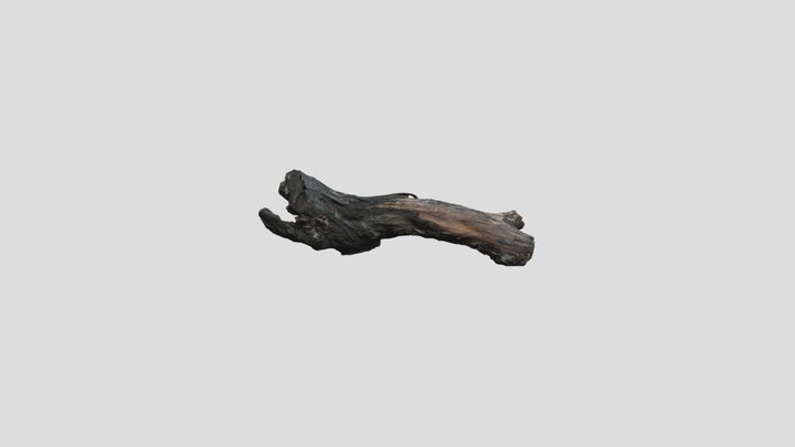 Mossy Old Tree Log 3D Model