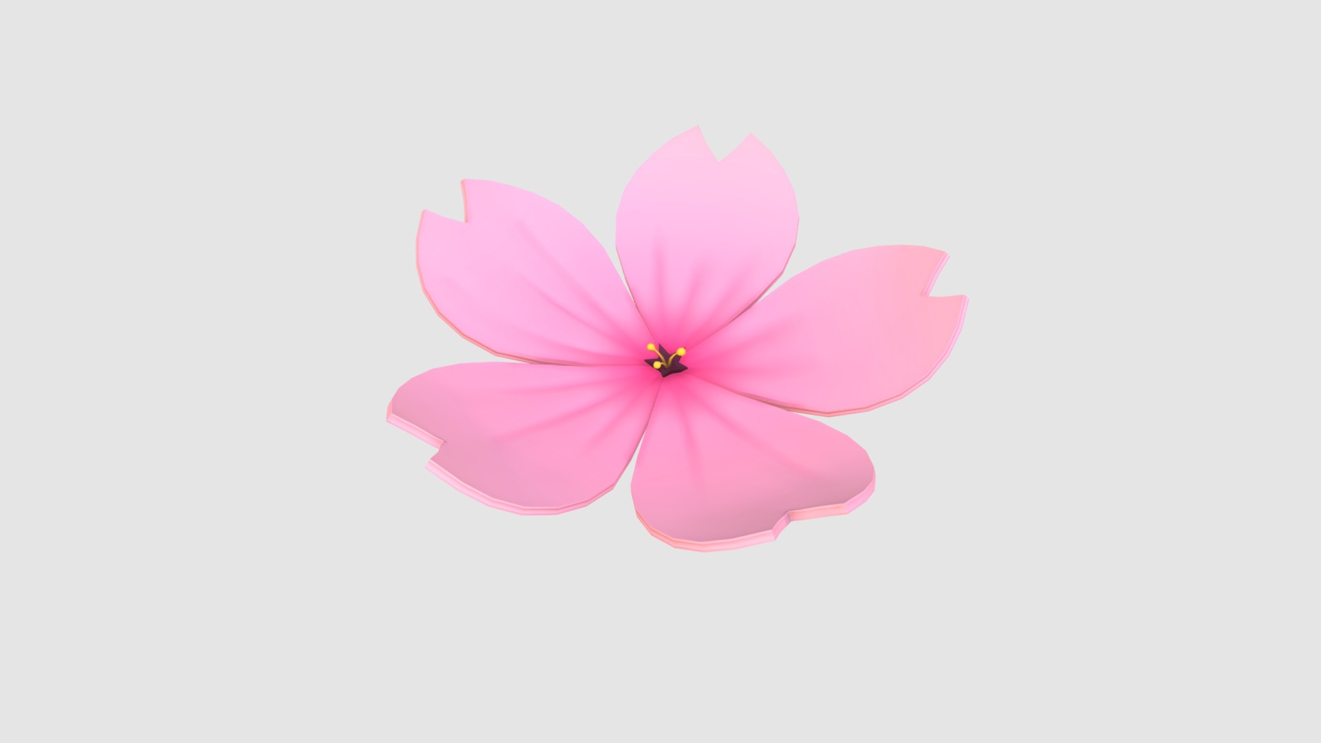 3D model Sakura - This is a 3D model of the Sakura. The 3D model is about a pink flower with a white background.