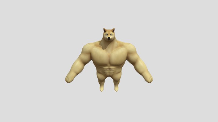 Buff Doge 3D Model
