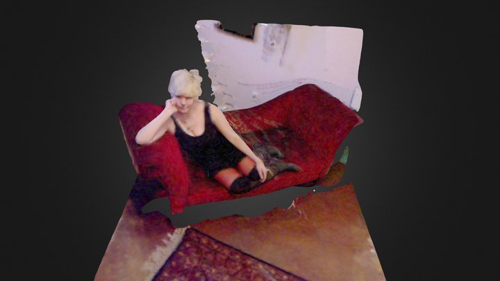 New Skanect Model 3D Model