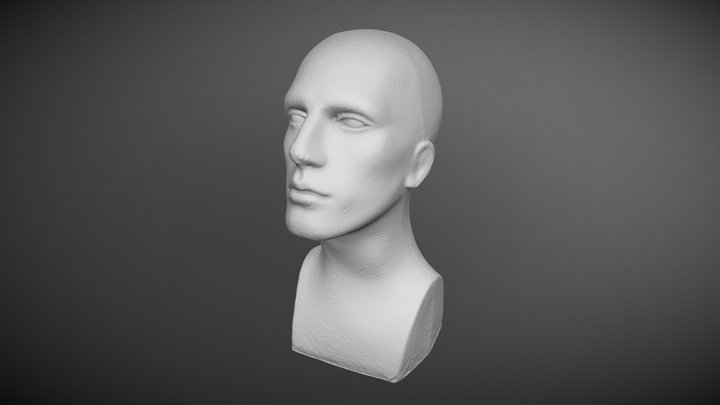 Mannequin Head - #3 - Untextured 3D Model