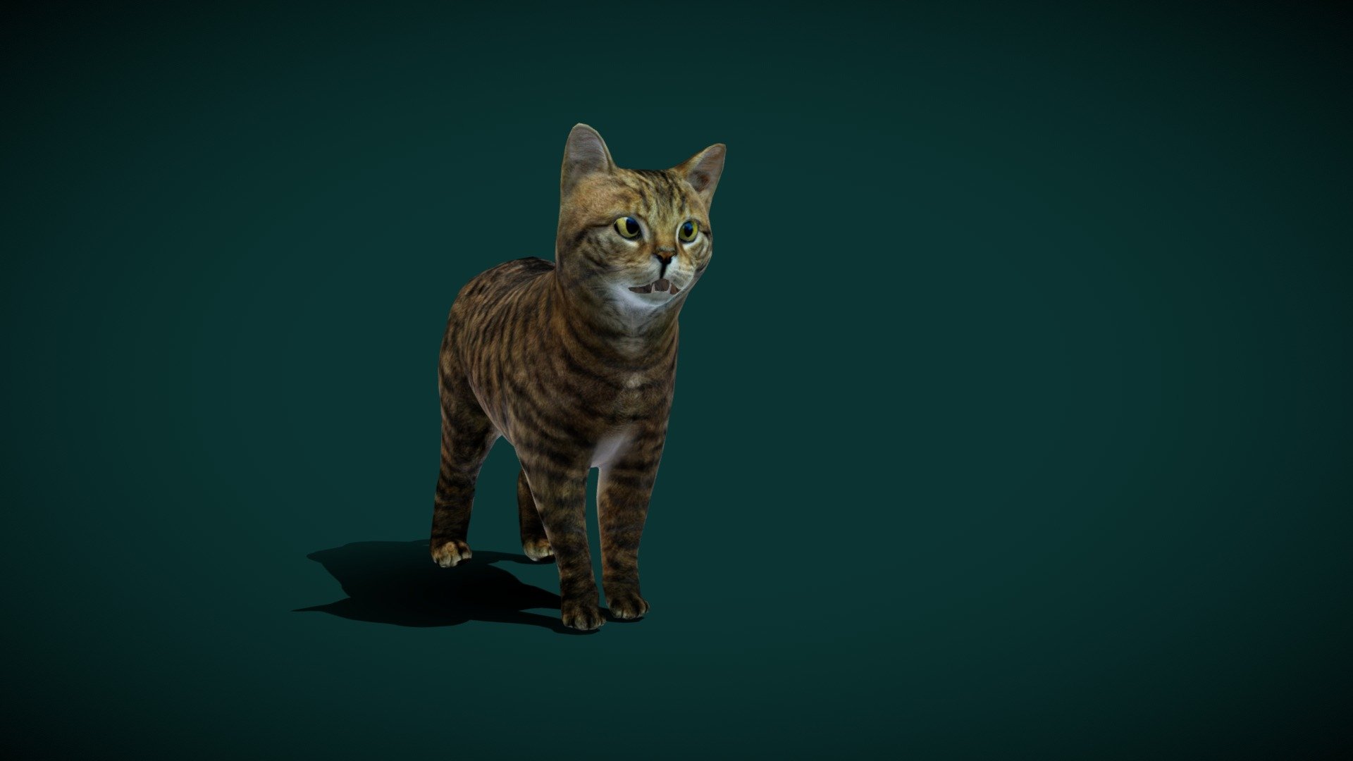 European WildCat (Lowpoly) - Buy Royalty Free 3D model by ...