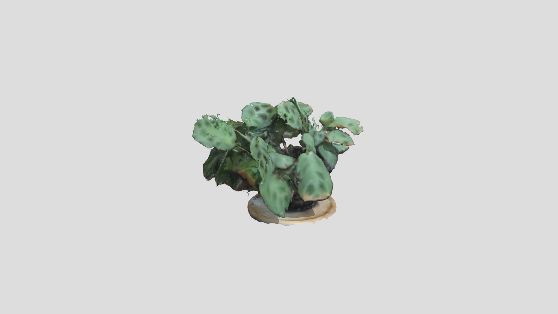 PlantTest