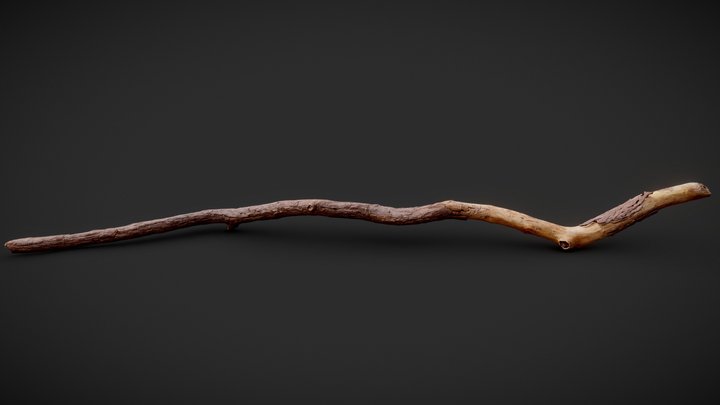Broken Pine Branch 01 3D Model