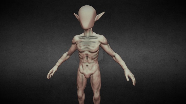 Elf Base Mesh 3D Model