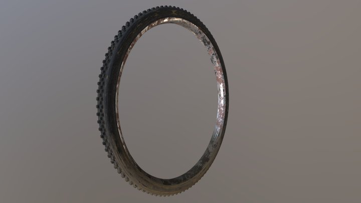 MTB Tire 3D Model
