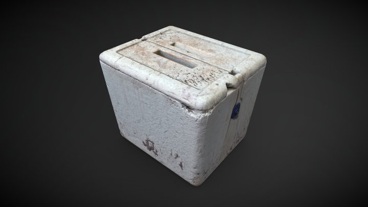 Dominican Foam Cooler (3D Scan) 3D Model