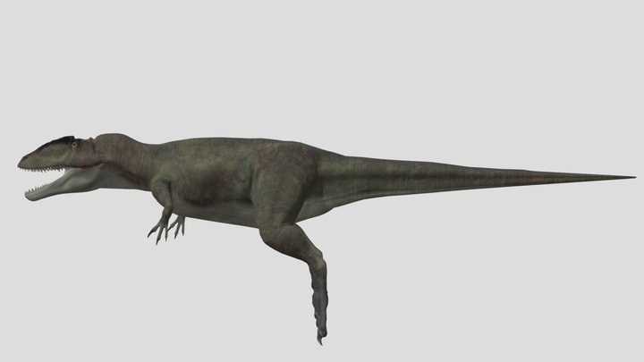 Accurate Carcharodontosaurus 3D Model