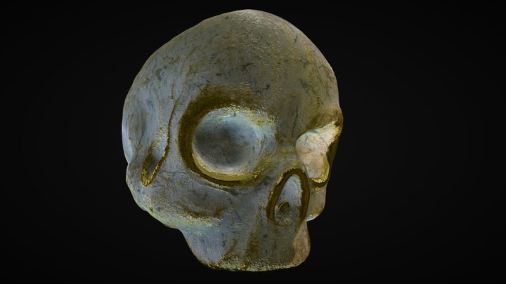 Texture Test | Skull Sculpt 3D Model