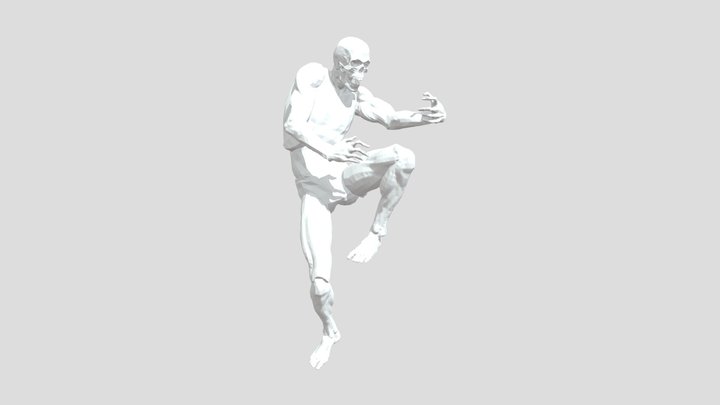 Drunken Master 3D Model