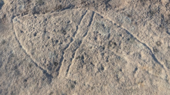 KRG Single Shield 3D Model