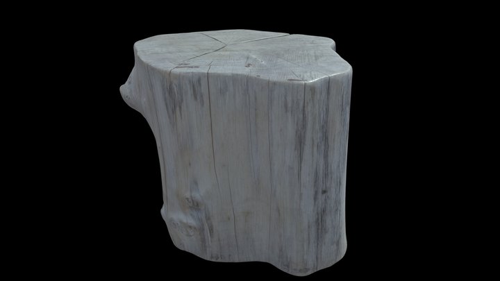 Irontree Trunk Furniture 3D Model