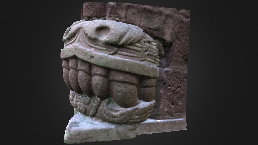 Cabeza de Serpiente