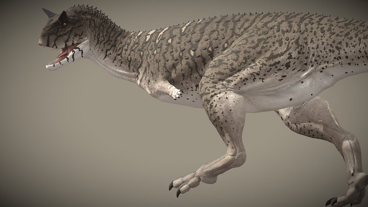 Carnotaurus sastrei – Kostenloses 3D-Modell STL