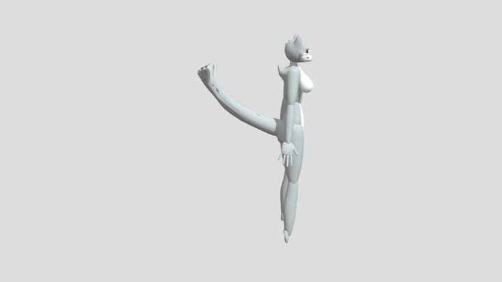Shork 3D Model