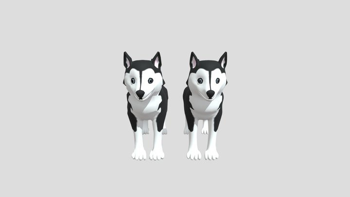 Husky Puppy 3D Model