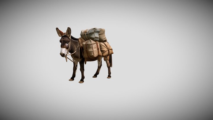 DONKEY 13 3D Model