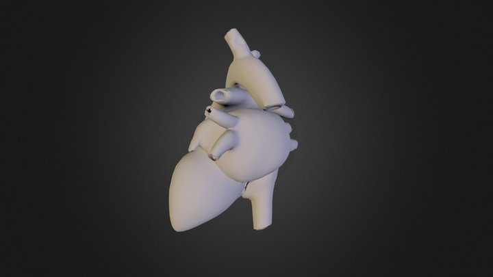 heart.zip 3D Model