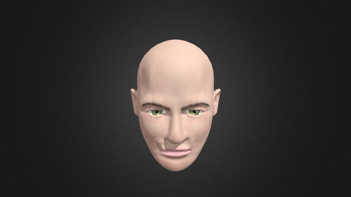 Head 3 3D Model