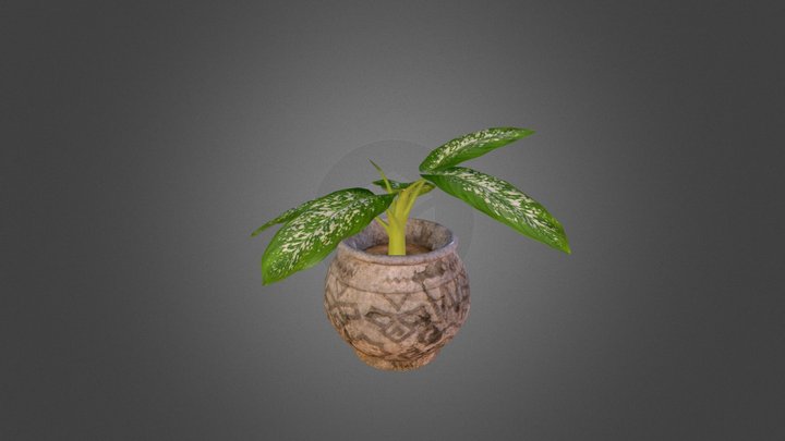 Potted_plant 3D Model