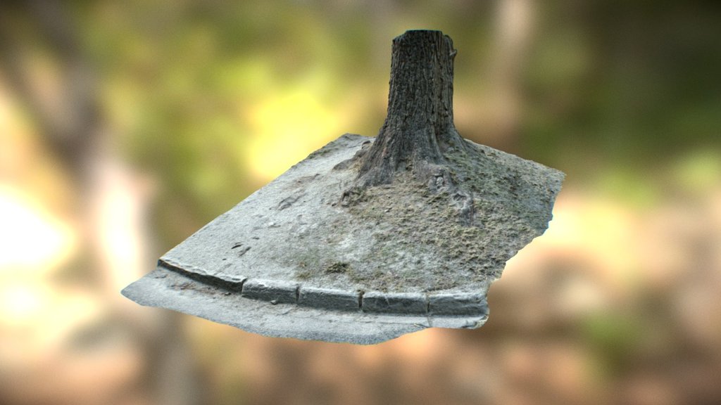 Tree Model Photogrammetry Download Free 3D model by