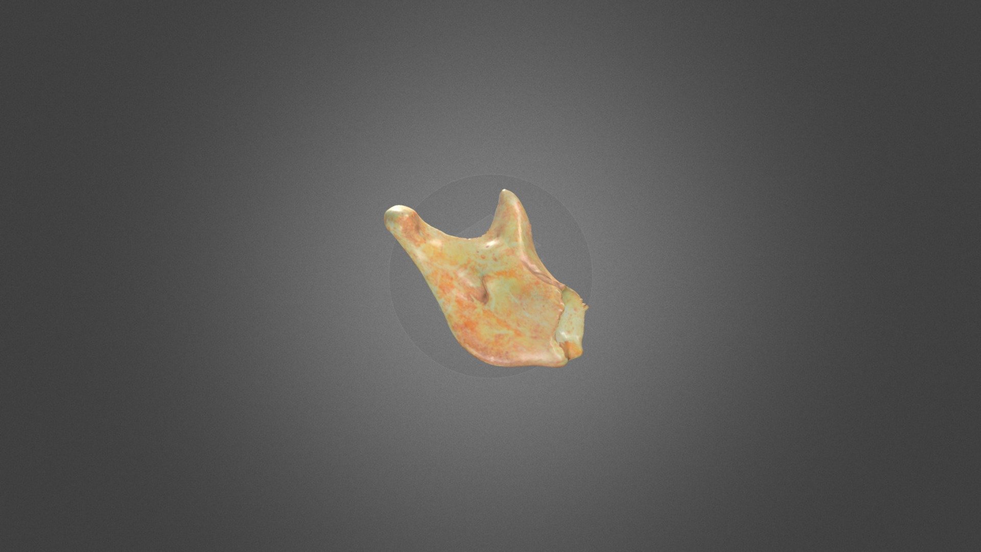Bone 15