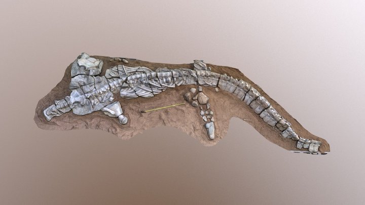 Percy 3D Model