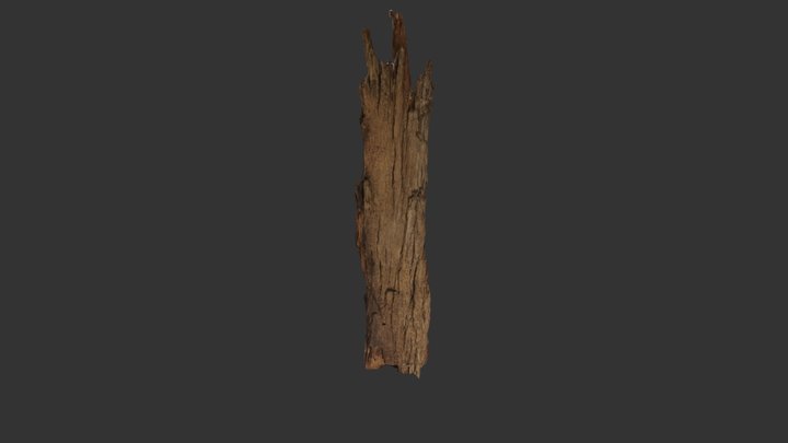 Bark1 test piece of bark 3D Model