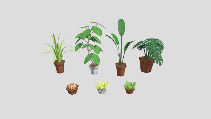 Houseplants 3D Model