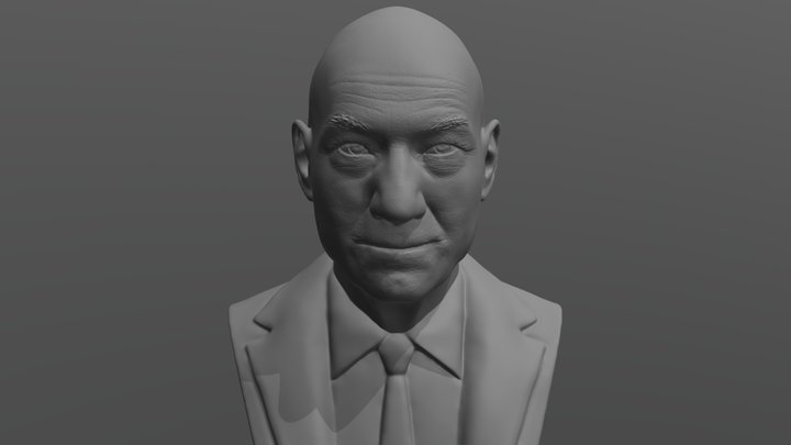 Professor X bust for 3D printing 3D Model