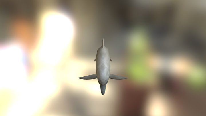 Dolphin 3D Model
