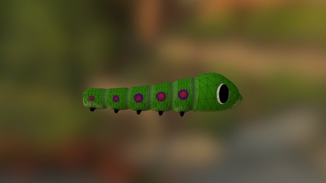 3D Bug 3D Model