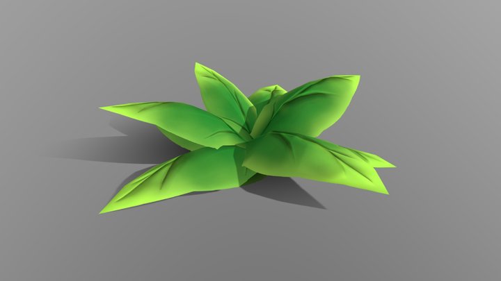 Leafy plant 3D Model